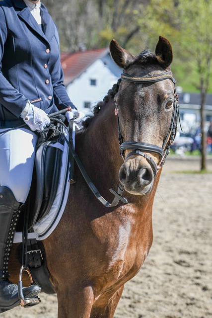 中超在亚冠 中超在亚冠