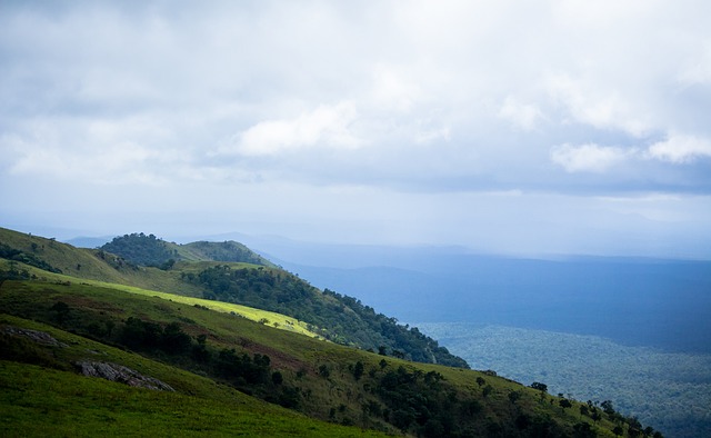 首发出阵 首发出阵
