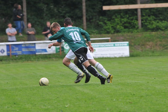 始终是一颗 始终是一颗