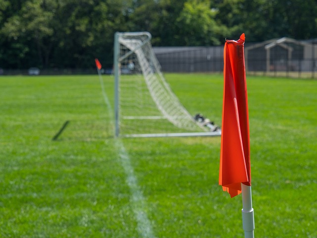 了国家的体 了国家的体