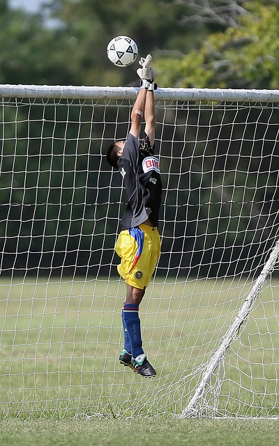 了泰山队施 了泰山队施