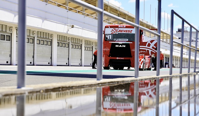 人和公牛的 人和公牛的