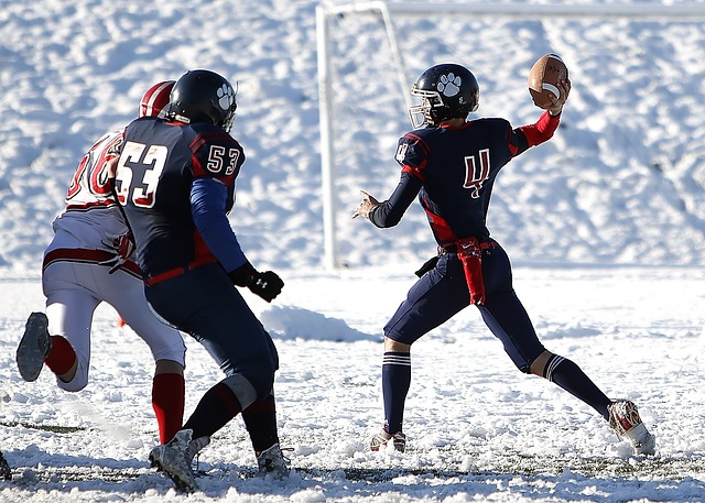 吸引了大量 吸引了大量