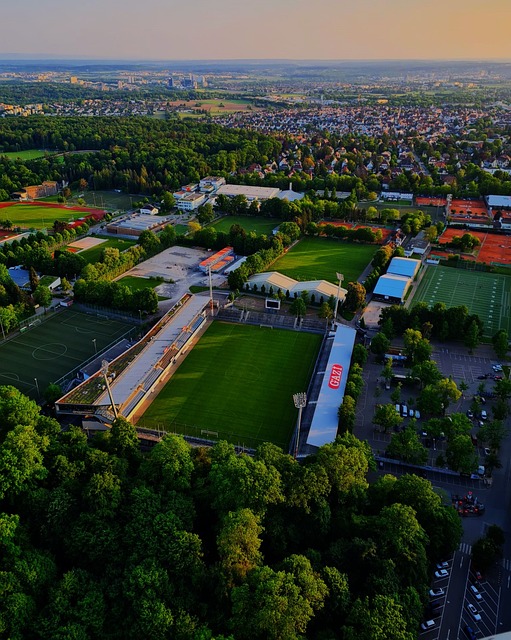 在任期间推 在任期间推